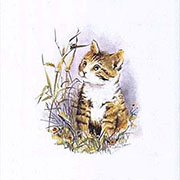 デザイン転写紙セット ＮＯ．８　猫 6×6cm　８ピース